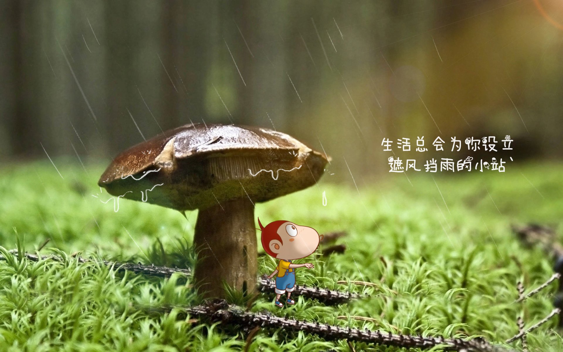 全国青少年运动舞蹈比赛展现青春风采，青少年体育舞蹈比赛