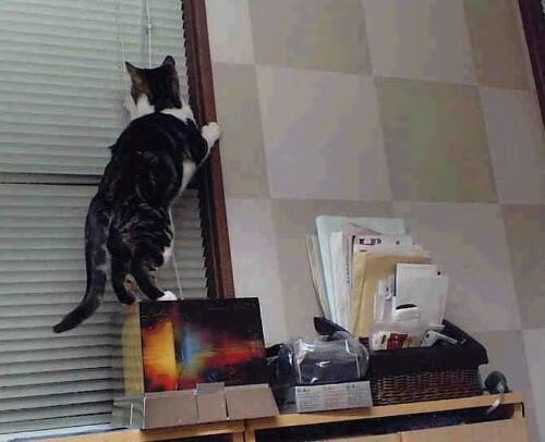 运动员训练效果科学评估，运动员训练状态监测量表