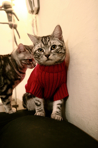 kaiyun中国官方网站-中国足球人才流失是否无法避免，中国足球人才储备