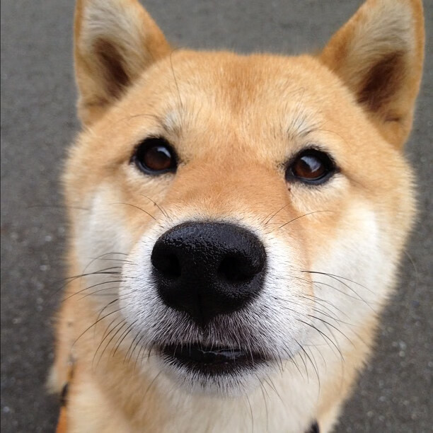 开云体育官方网站-五大联赛战术革新是否来源于教练更新换代，五大联赛技术排名